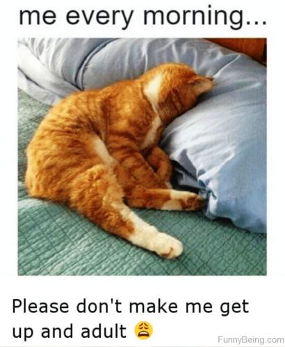 4bf95402f5ee9f7b6668b579d02fbcb7