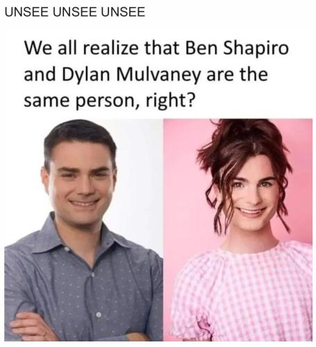 shapiro-mulvaney-same