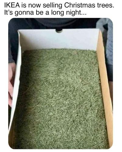 FB_IMG_1764389876769