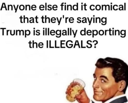 Tumblr_l_56976919780191