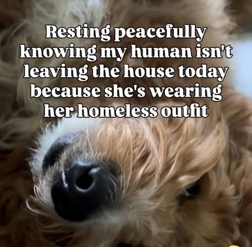 IMG_20251217_150939_535