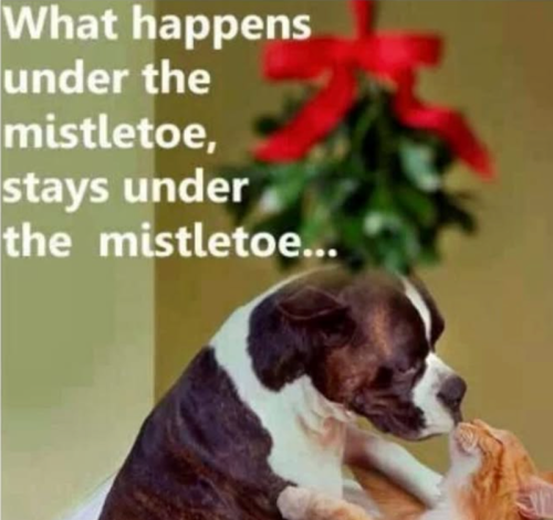 happens-under-mistletoe-stays-under-mistletoe