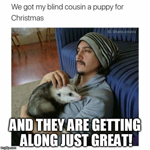 got-blind-cousin-puppy