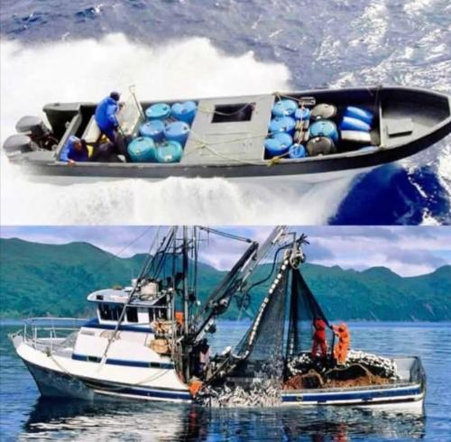 735ea895-87b8-4fbc-8b78-a3e9298ad034