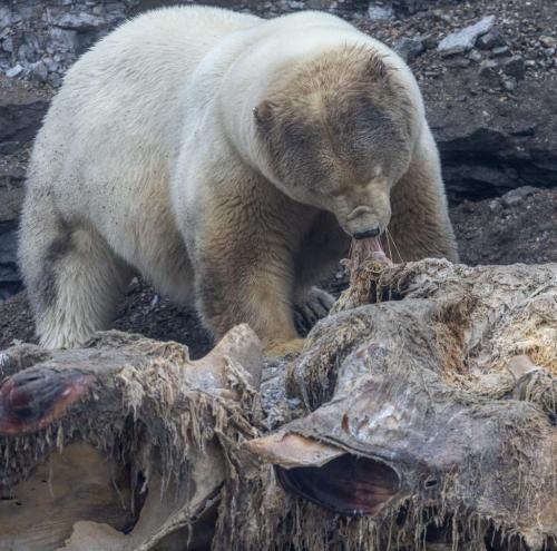 RDT_20251206_0116514383490114133667605