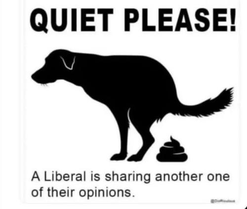 FB_IMG_1764955873853