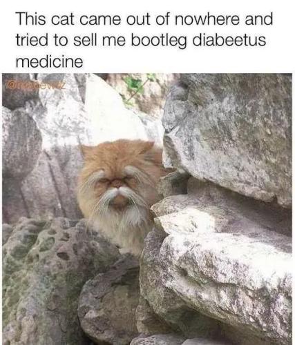 bootleg-diabeetus-medicine