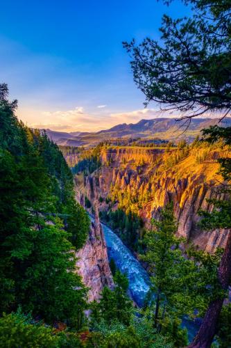 tumblr_py1mdvsO0y1qdytrfo1_1280