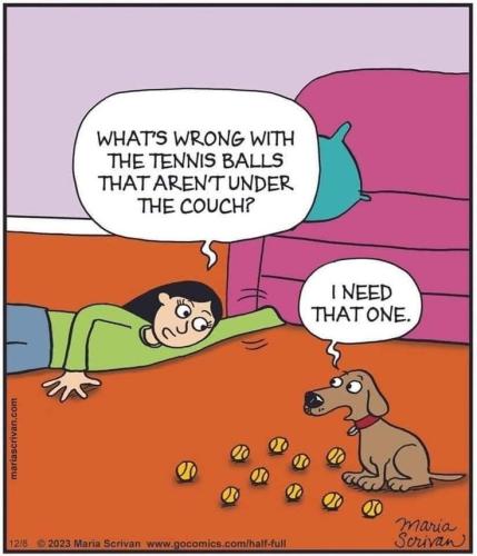 1cdd456a538f5ff9c2598fc1fb7affd9