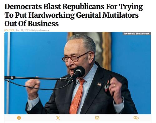 Babylon Bee Schumer