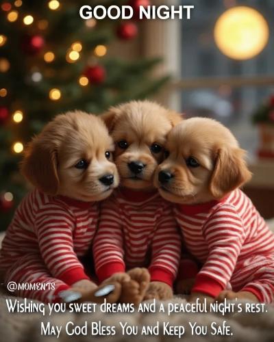 600940889_895157726190670_7742435717596730891_n