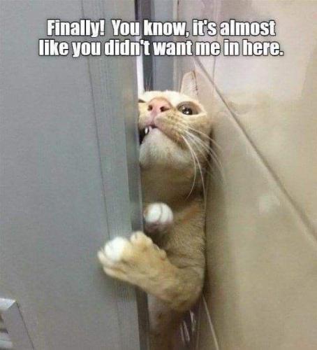 8b83511227d3dd579d7a4b593094a8a5