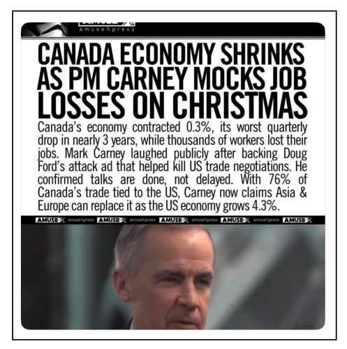 economy shrink