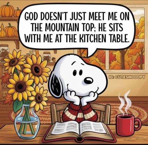 49330fa2c676ba81ebc6e77726d6082a