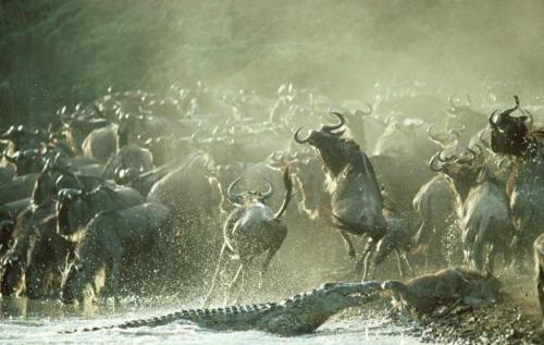 RDT_20251210_1413288748817413708210416