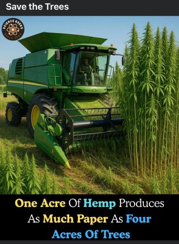 560169840_3294708180689199_8764996770365757240_n