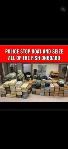 Screenshot_20251219_181800_YouTube