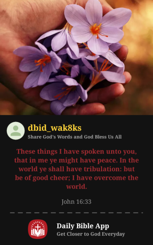 2025-12-071765143129096