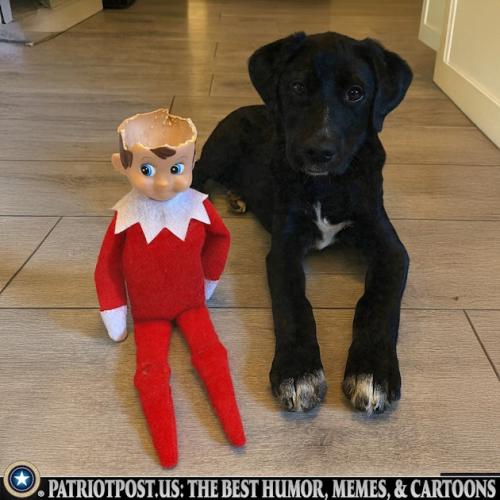 01KCVVB6FYH5NE0SRAT1YVAF4P