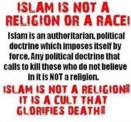 FB_IMG_1765388464301