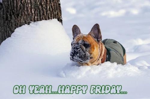 c8bc98ddb66d36545a8824b8a0a179da