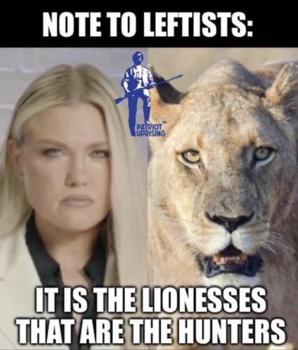 2556a0ca-99d5-413d-a258-85d675efed97