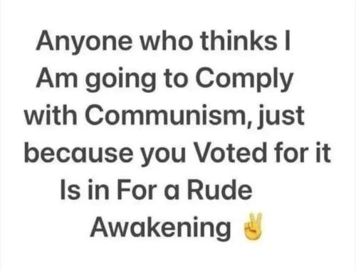 TESTHUB_photos_users_KPBY8Tc46ldqLjWXf6bqxqOW3AR2_-Og4uJa5Iyt4Z6C3rgyL_img_rsz__1100x1100