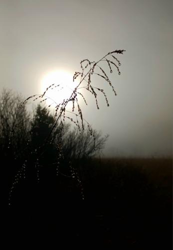 Resized_20251123_085216