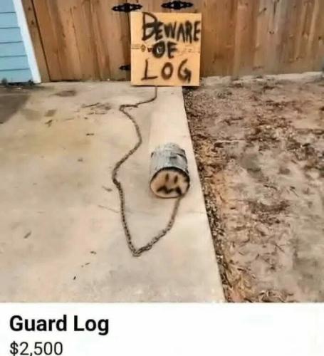guard-log