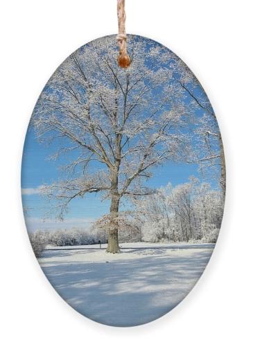 Screenshot_20251217_155033_Brave