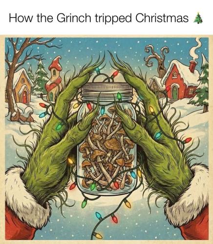 FB_IMG_1766659780989