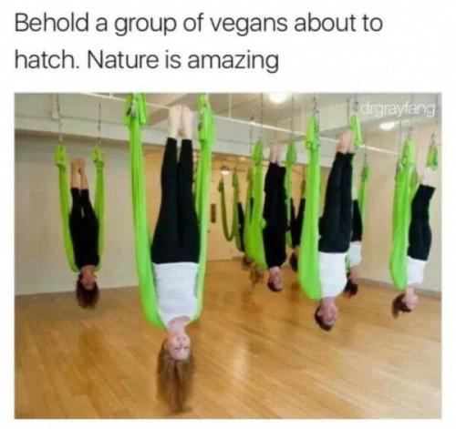 vegans-about-to-hatch