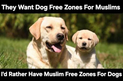 c1dbece2-2655-4bb9-a2e6-4c40b1524b6f