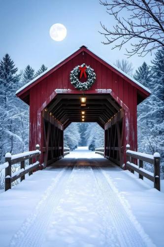 600115126_4084133688583833_4417380720699398696_n