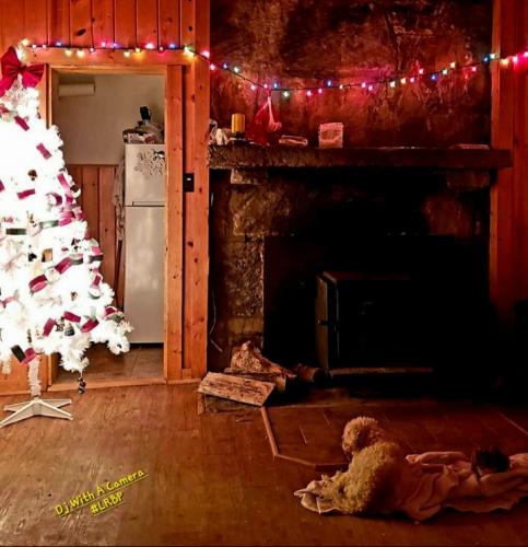 Screenshot_20251202_073918_Gallery