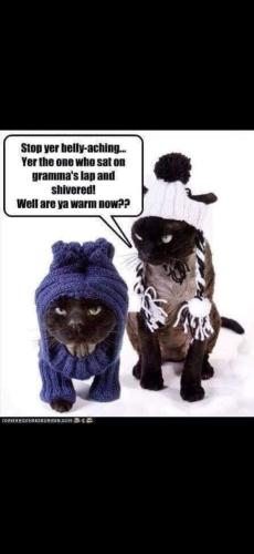 Screenshot_20251217_192507_Photos