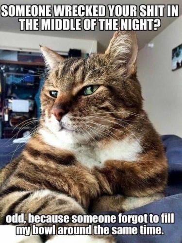 6025dc4f7e9007b60f99a9d62c821a5c