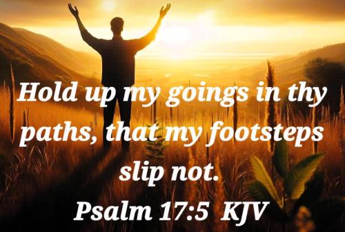 a5b650b7-2afc-4dff-a5b0-afdf0b7bcc65