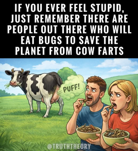 image_0B2D94BF-FBFA-4A70-91EE-C7255CD77873