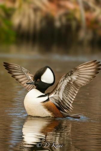 RDT_20251227_1324468763054756880251502