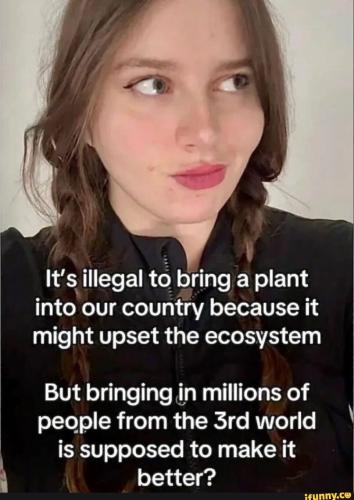 9b3c6a6a14c6d9908390cd84029baf3e76278708c54dbeb775c84b45076bf726_1