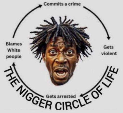 IMG_20251220_153342_991