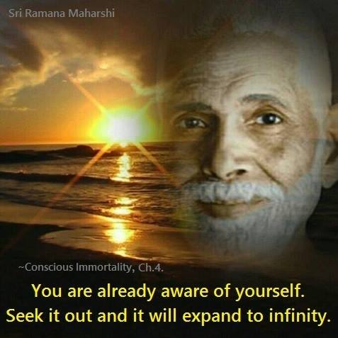 ,         418235313_73391130547