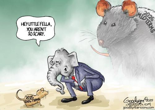 fd1c7be2-3dc0-40ea-a35a-f22e81d60e91