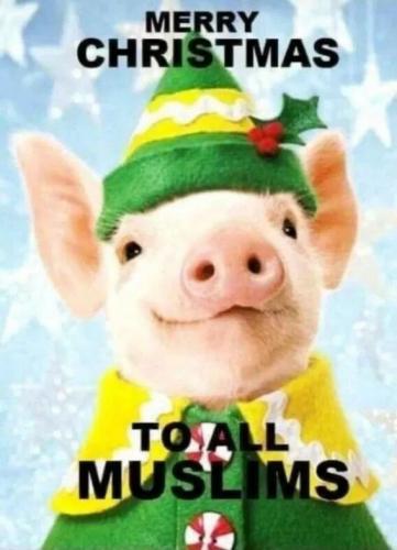 merry-christmas-to-moslems