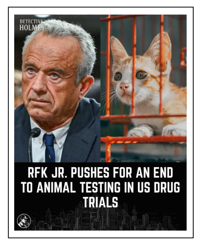 FB_IMG_1765567879407