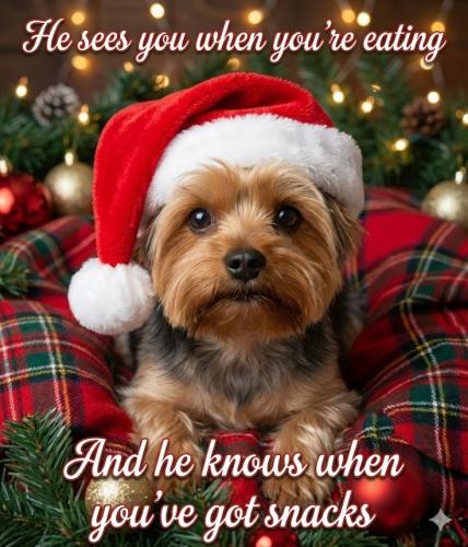 6adb5136c5e0e592aa797e5aea7d8f83