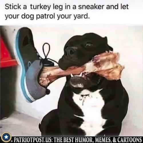 00000000000000000000000000000000000000000000000000000000000000000000000000000000000000000000000000000000000000000000000000000000000000000000000000000000000000000000000000000000000000000000000000000000000000000000000ssu