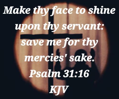 ff24d067-2574-402b-82de-2c10b6f4c5e4