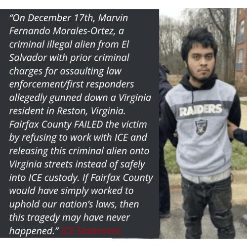 InShot_20251221_131807411